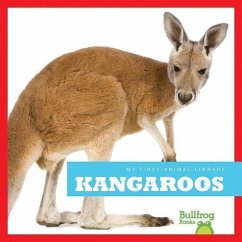 Kangaroos - Schuh, Mari C