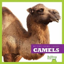 Camels - Schuh, Mari C