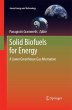 Solid Biofuels for Energy - Bild 1