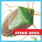 Stink Bugs