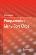 Programming Many-Core Chips - Bild 1