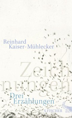 Zeichnungen - Kaiser-Mühlecker, Reinhard