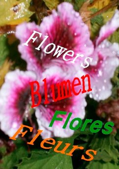 Flowers Blumen Fleurs Flores - Jakobsen, Hendrik