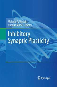 Inhibitory Synaptic Plasticity