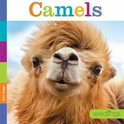 Seedlings Camels - Riggs, Kate