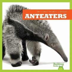 Anteaters - Schuh, Mari C