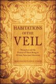 Habitations of the Veil: Metaphor and the Poetics of Black Being in African American Literature