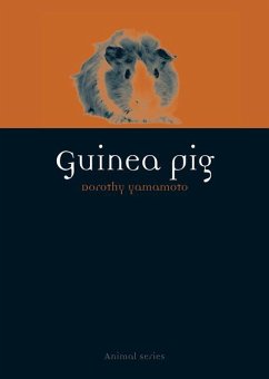 Cover Guinea Pig