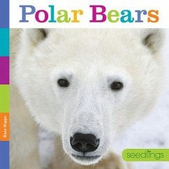 Seedlings Polar Bears - Riggs, Kate