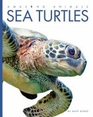 Amazing Animals Sea Turtles