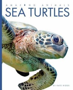 Amazing Animals Sea Turtles - Riggs, Kate