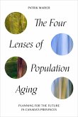 The Four Lenses of Population Aging