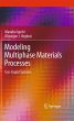 Modeling Multiphase Materials Processes - Bild 1