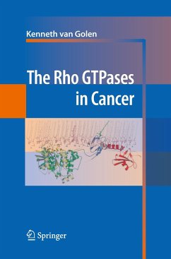 The Rho GTPases in Cancer