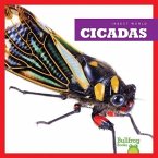 Cicadas