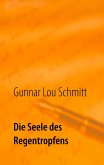 Die Seele des Regentropfens (eBook, ePUB)