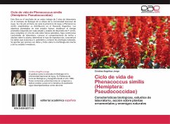 Ciclo de vida de Phenacoccus similis (Hemiptera: Pseudococcidae) - Jorge, Cristina Angélica