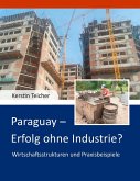 Paraguay - Erfolg ohne Industrie? (eBook, ePUB)
