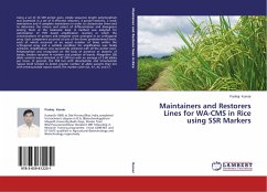 Maintainers and Restorers Lines for WA-CMS in Rice using SSR Markers