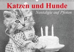 Katzen und Hunde - Nostalgie auf Pfoten (Wandkalender immerwährend DIN A3 quer) - Stanzer, Elisabeth