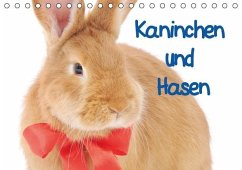 Kaninchen und Hasen (Tischkalender immerwährend DIN A5 quer) - Stanzer, Elisabeth