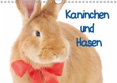 Kaninchen und Hasen (Wandkalender immerwährend DIN A4 quer) - Stanzer, Elisabeth