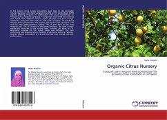 Organic Citrus Nursery - Elsayed, Maha