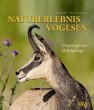 NATURERLEBNIS VOGESEN - Bild 1