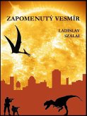 Zapomenutý vesmír (eBook, ePUB)