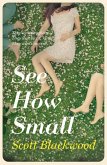 See How Small (eBook, ePUB) See How Small (eBook, ePUB)