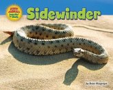 Sidewinder