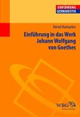 Einführung in das Werk Johann Wolfgang von Goethes (eBook, ePUB)
