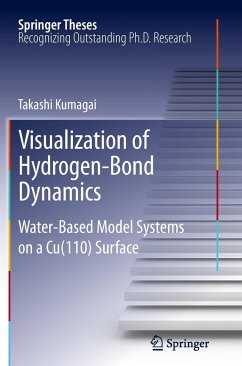 Visualization of Hydrogen-Bond Dynamics - Kumagai, Takashi