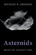 Asteroids - Bild 1
