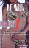 Miscellanea numero uno (porn stories) (eBook, ePUB)