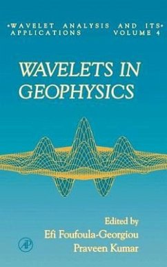 Wavelets in Geophysics