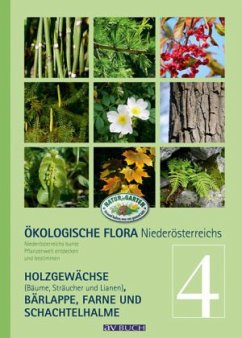 Ökologische Flora Niederösterreichs - Holzner, Wolfgang;Adler, Wolfgang;Winter, Silvia