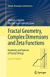 Fractal Geometry, Complex Dimensions and Zeta Functions: Geometry and Spectra of Fractal Strings (Springer Monographs in Mathematics)