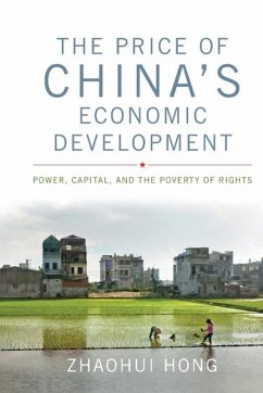 The Price of China's Economic Development - Hong, Zhaohui