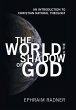 The World in the Shadow of God - Bild 1