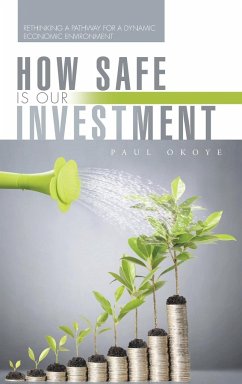 How Safe Is Our Investment - Okoye, Paul