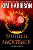 Sudden Backtrack (eBook, ePUB)