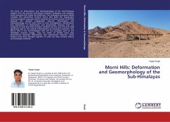 Morni Hills: Deformation and Geomorphology of the Sub-Himalayas - Singh, Tejpal