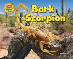 Bark Scorpion - Goldish, Meish