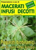 Preparazione e uso di macerati, infusi, decotti. Preparati biodinamici per la cura degli ortaggi (eBook, ePUB)