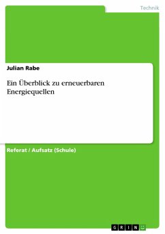Ein Überblick zu erneuerbaren Energiequellen (eBook, PDF) - Rabe, Julian