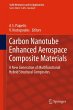Carbon Nanotube Enhanced Aerospace... - Bild 1