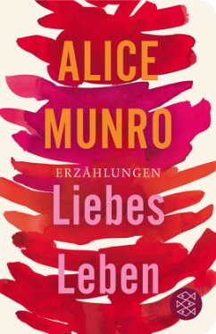 Liebes Leben - Munro, Alice