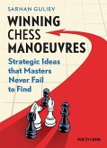 Winning Chess Manoeuvres: Strategic Ideas That Masters Never Fail to Find