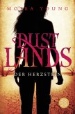Der Herzstein / Dustlands Bd.2